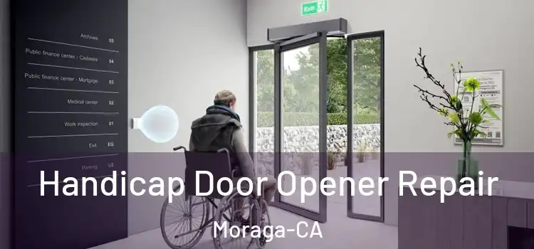  Handicap Door Opener Repair Moraga-CA