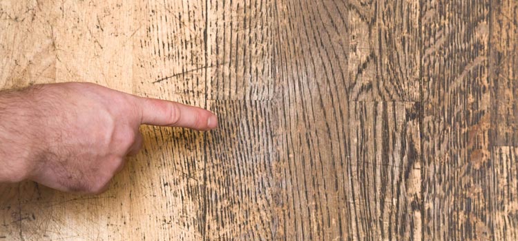 Wood Door Scratch Repair in Moraga